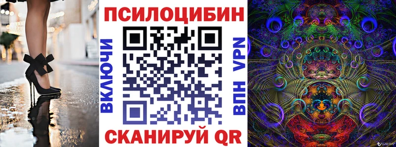 Псилоцибиновые грибы Magic Shrooms  Купить закладки  Гагарин 